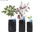 塑料种植袋15